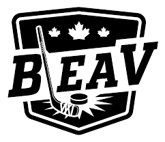 Bleav Hockey